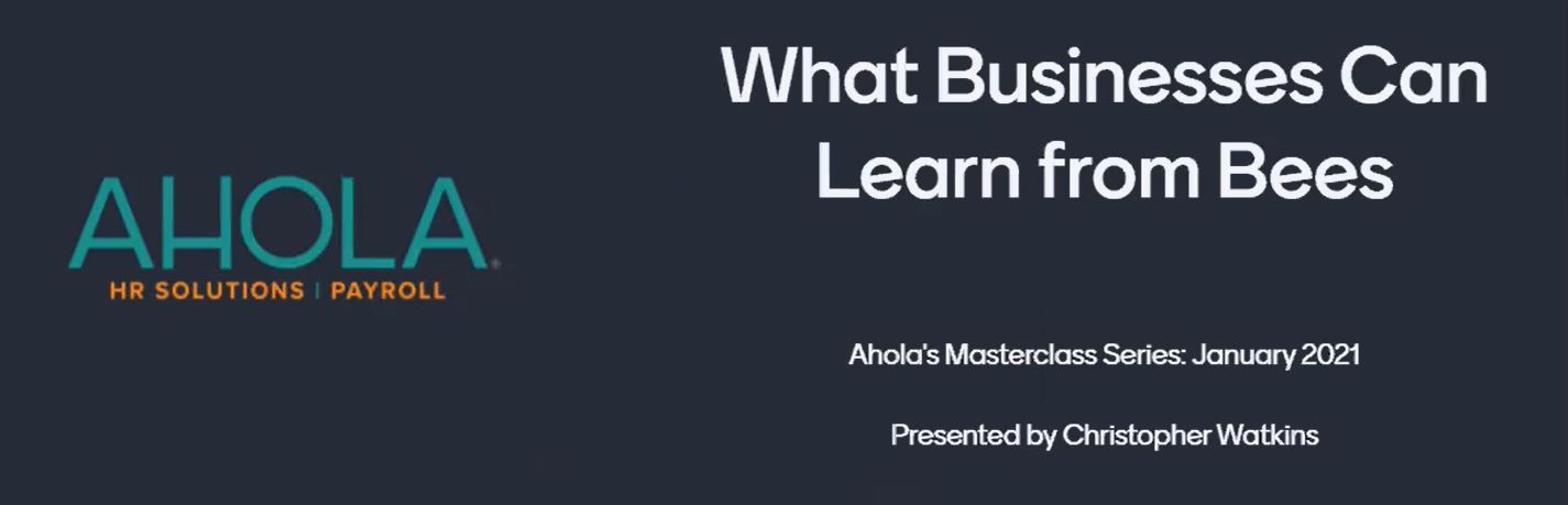 What Businesses Can Learn from Bees